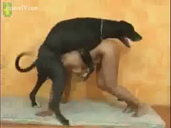 Sexy black skinned woman enjoys sex with her large dark dog